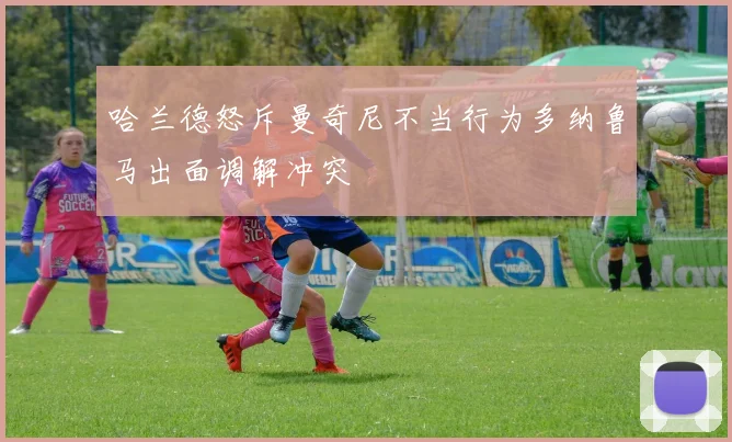 哈兰德怒斥曼奇尼不当行为多纳鲁马出面调解冲突