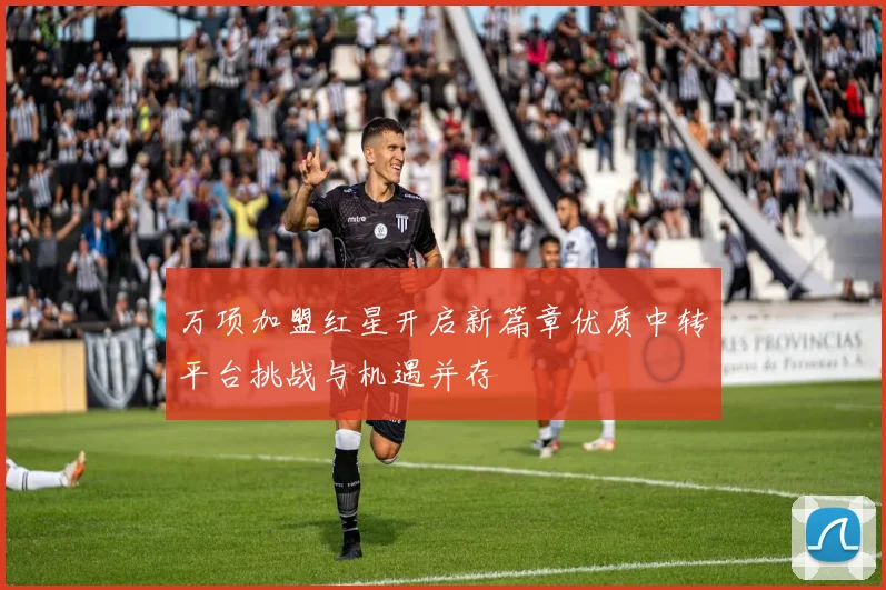 万项加盟红星开启新篇章优质中转平台挑战与机遇并存