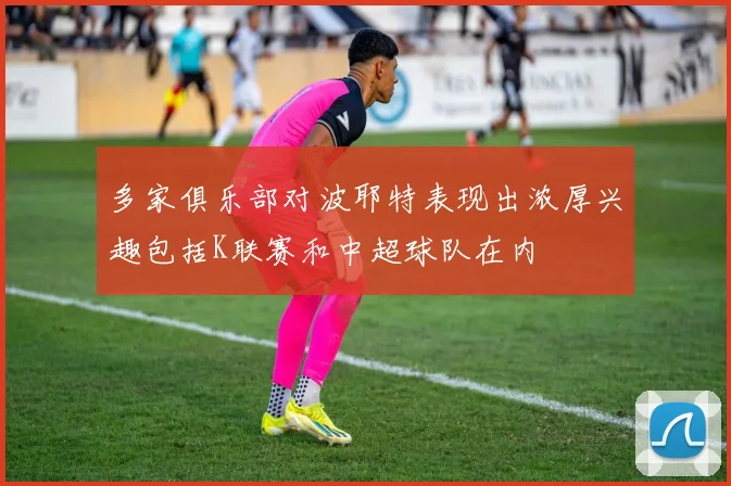 多家俱乐部对波耶特表现出浓厚兴趣包括K联赛和中超球队在内