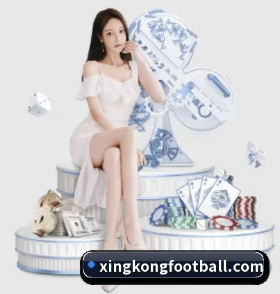 五大服务分区,信息按项目分类（xingkong）